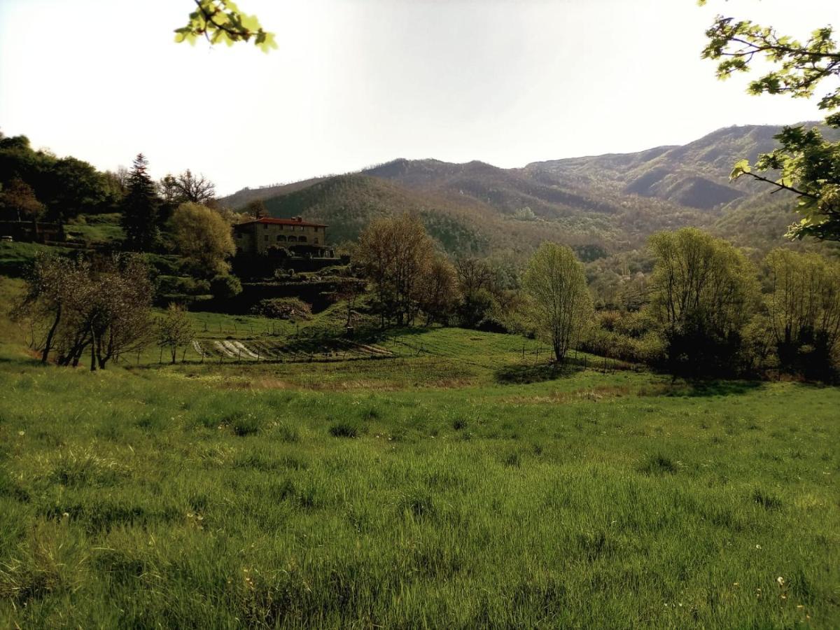 Agriturismo Casentino - Fattoria Ventrina Martina Buitenkant foto