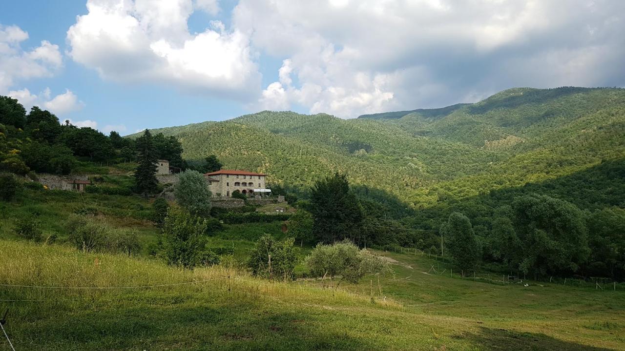 Agriturismo Casentino - Fattoria Ventrina Martina Buitenkant foto